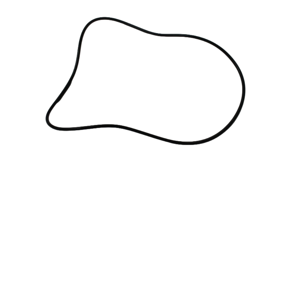 Dynashift/Speedshift Housing O-Ring 3382249M1. Massey Ferguson Tractors, Ned Murphy Tractors Ltd.