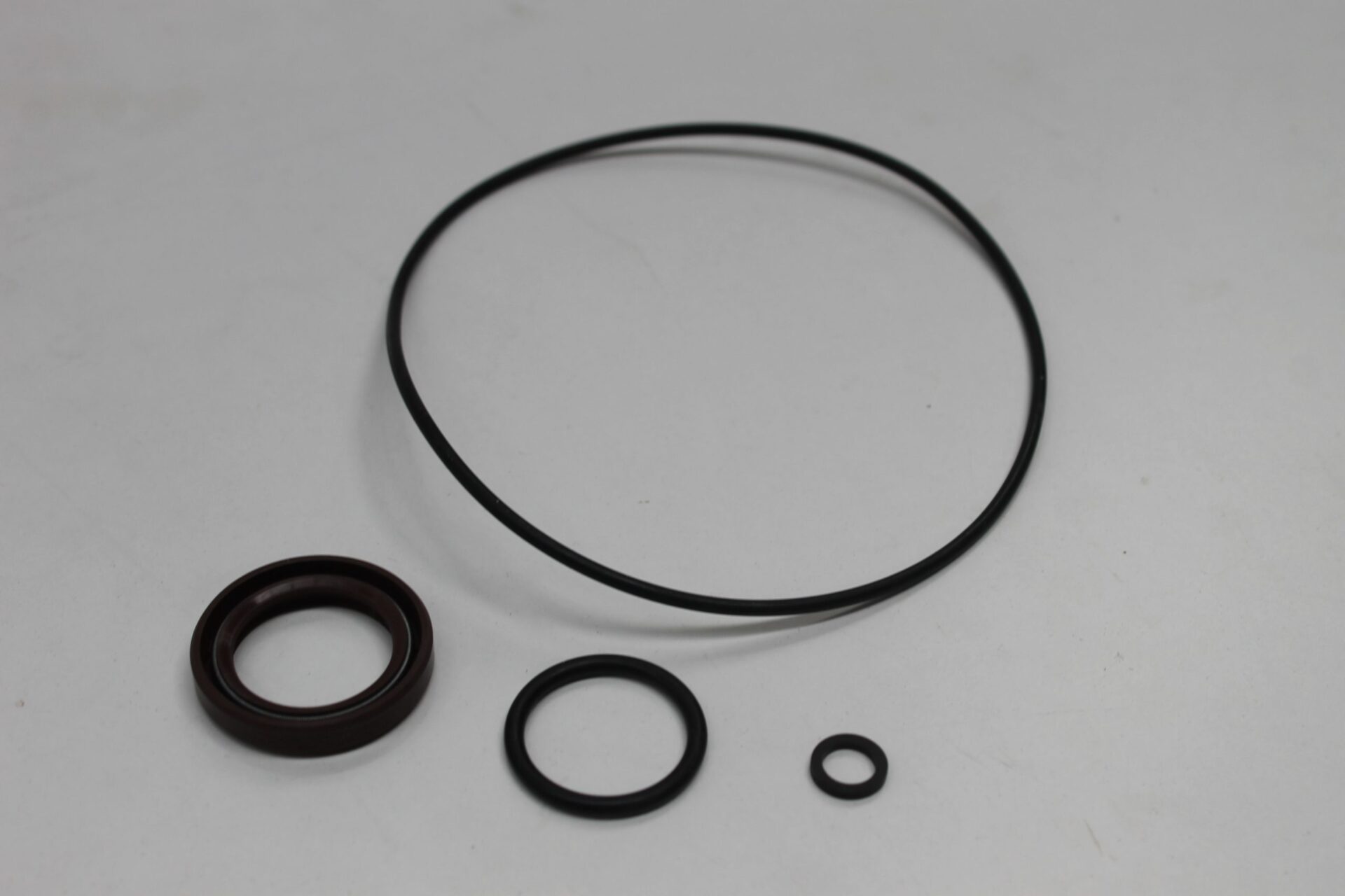 3902614M91, Load Sensing Pump Seal Kit, Massey Ferguson Tractors, Ned Murphy Tractors Ltd.