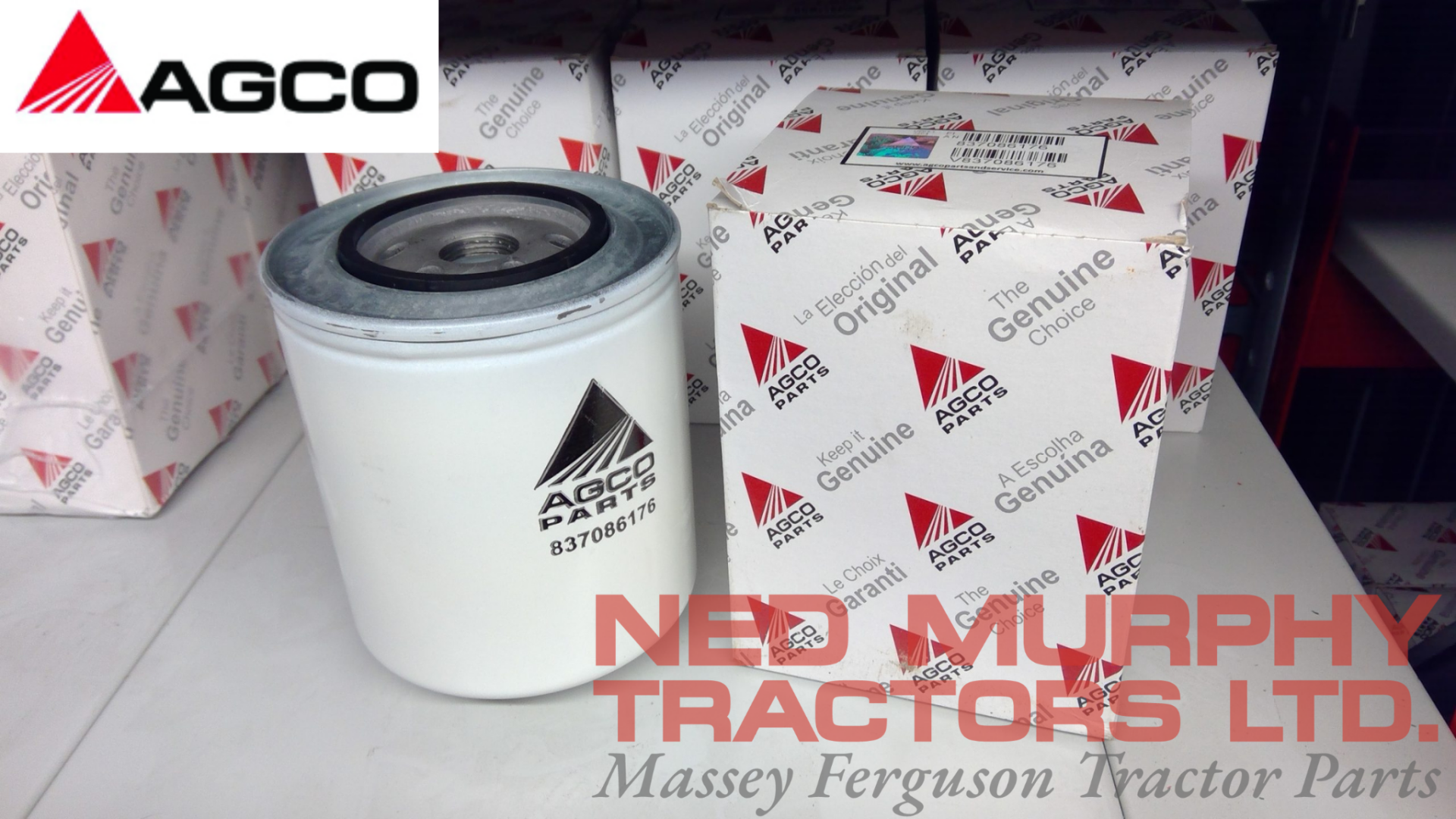 Engine Oil Filter, V837086176, Massey Ferguson Tractors, Ned Murphy Tractors Ltd.