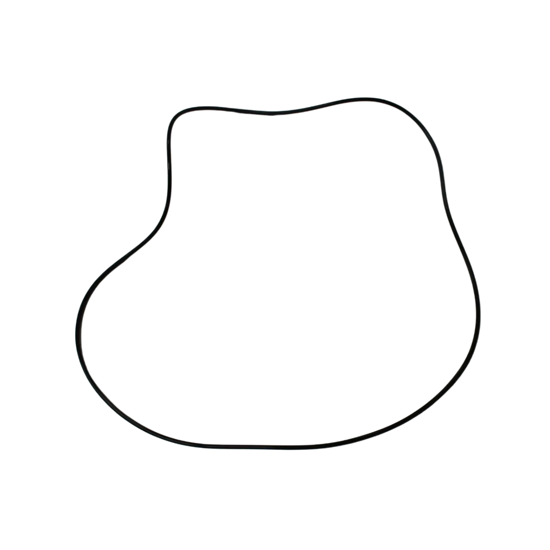 Genuine Brake Piston O-Ring 3617902M3, Massey Ferguson Tractor Parts, Ned Murphy Tractors