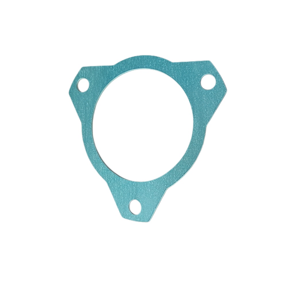 Injector Pump Gasket V836666409. Massey Ferguson Tractors, Ned Murphy Tractors Ltd.