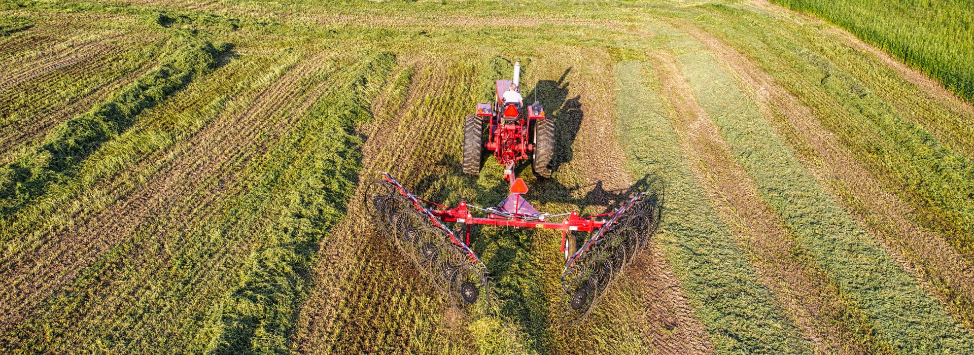 The Attachment Guide: 12 Ways Your Massey Ferguson Tractor Can Work Around a Smallholding, Massey Ferguson Tractors, Ned Murphy Tractors Ltd.
